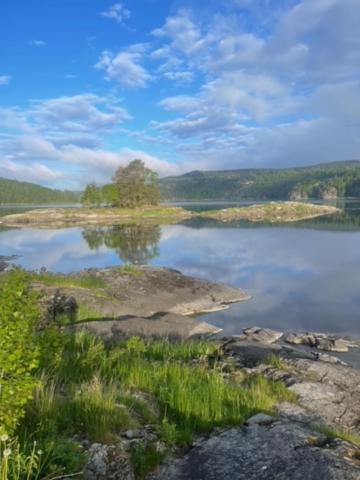 Hyttelaven Pa Furuholmen Sarpsborg Exterior foto